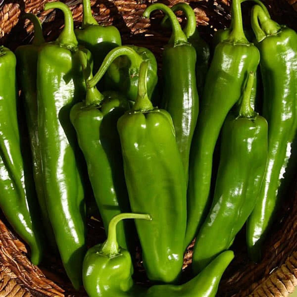 Sonora Mild Pepper