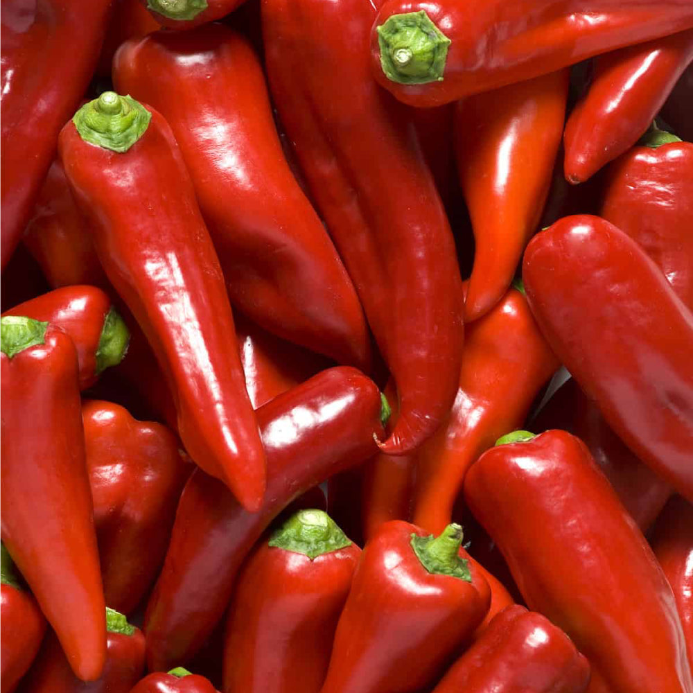 Sonora Mild Pepper