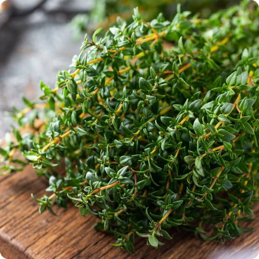 Thyme
