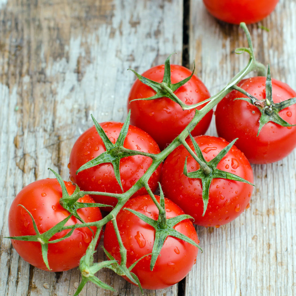 Tomato Red Cherry