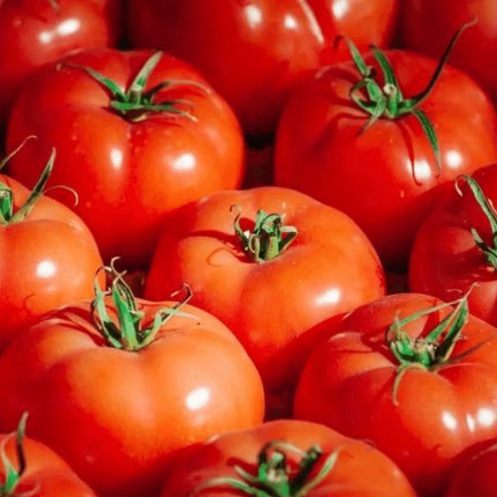 Tomato VR Moscow