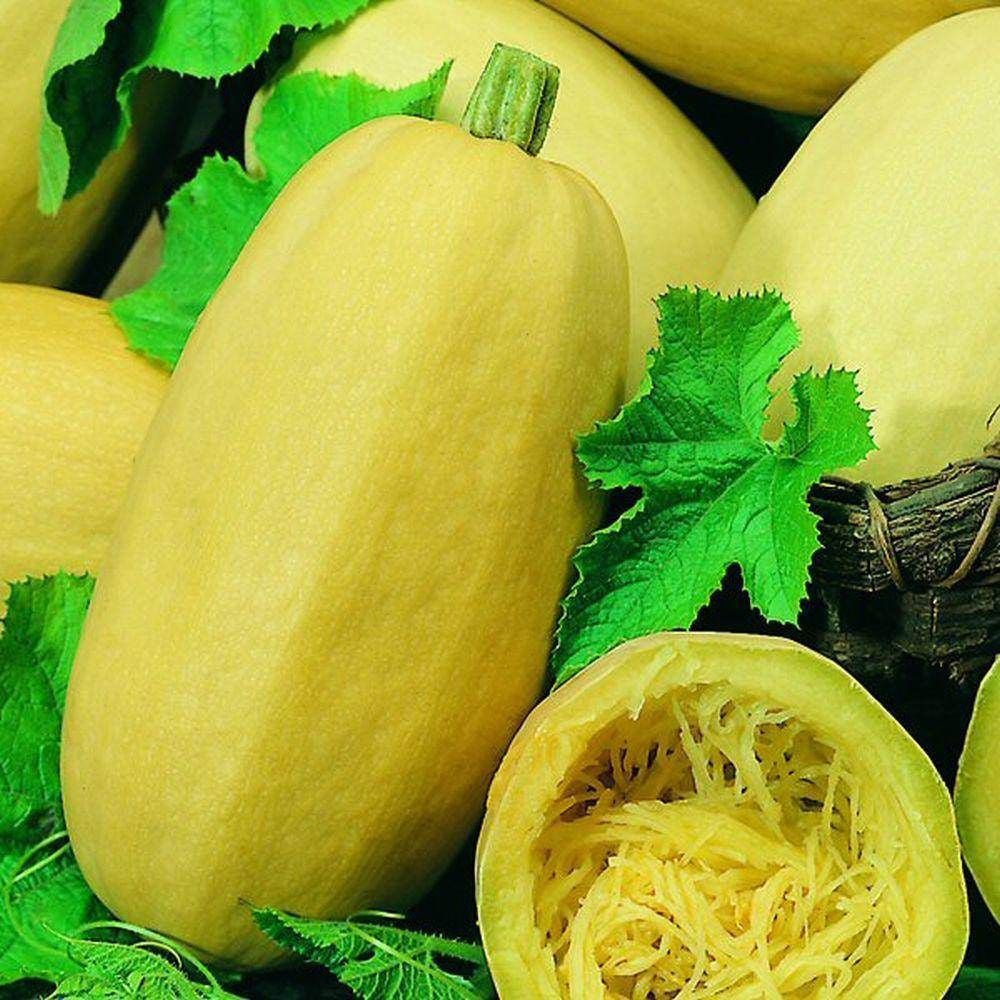 Vegetable Spaghetti Winter Squash