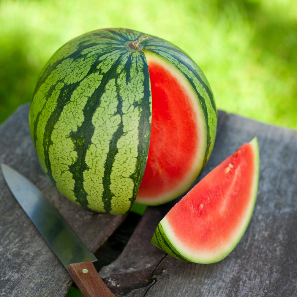 Watermelon Crimson Sweet