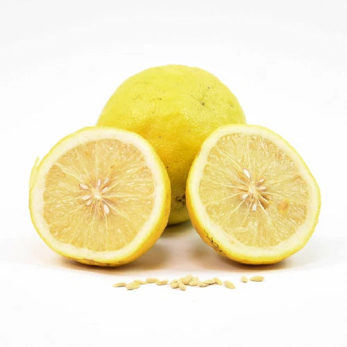 100++ Ponderosa Lemon Seeds (Citrus limon) – Premium Quality