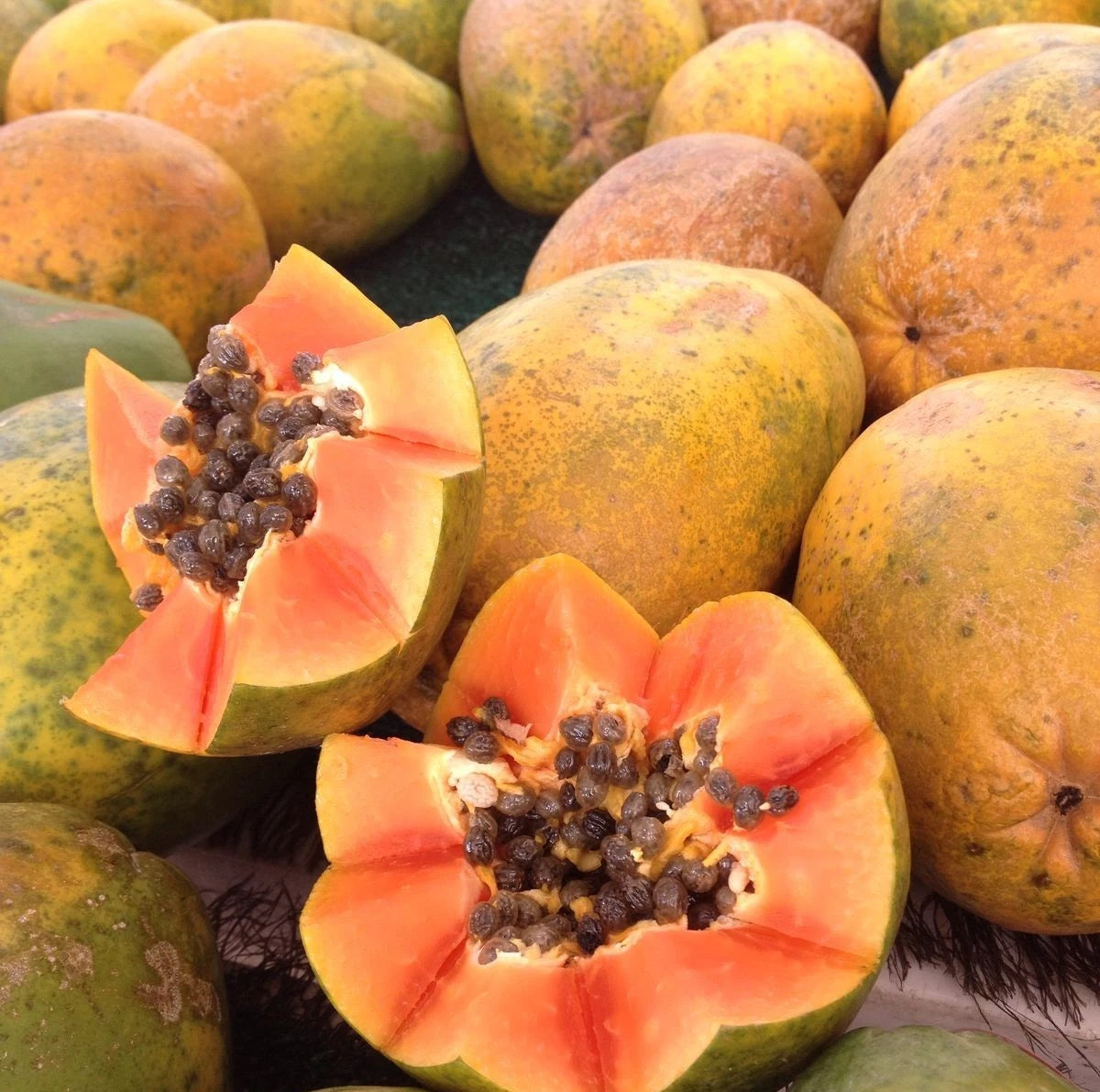 Solo Hawaii Papaya Seeds (Carica papaya 'Solo') – 150+ Premium Fresh Heirloom Sweet Dwarf-Grown Papaya Seeds