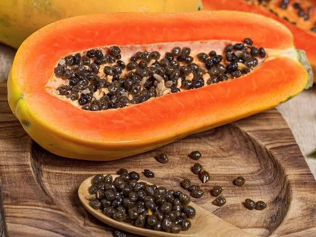 Red Prima Papaya Seeds (Carica papaya 'Red Prima') – Premium Fresh Sweet High-Yield Red Prima Papaya Seeds for Planting