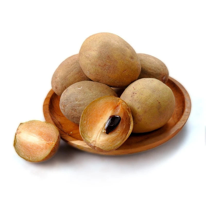 Premium Manila Variety Sapodilla Seeds (Manilkara zapota var. Manila) – Exotic Tropical Sweet Chico Zapote Fruit Seeds for Planting (35+ Pcs)