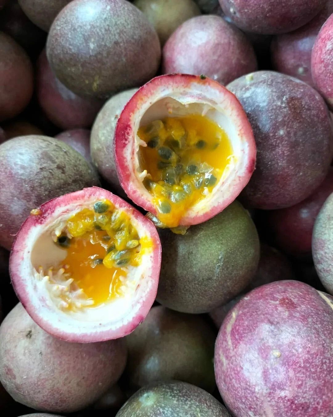 150+ Purple Passion Fruit Seeds (Passiflora edulis) – Elite Aromatic Vine Botanical Specimen (Collectors Quality)