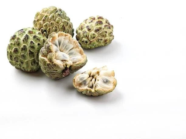 Sugar Apple (Annona squamosa) – 100+ Premium Seeds
