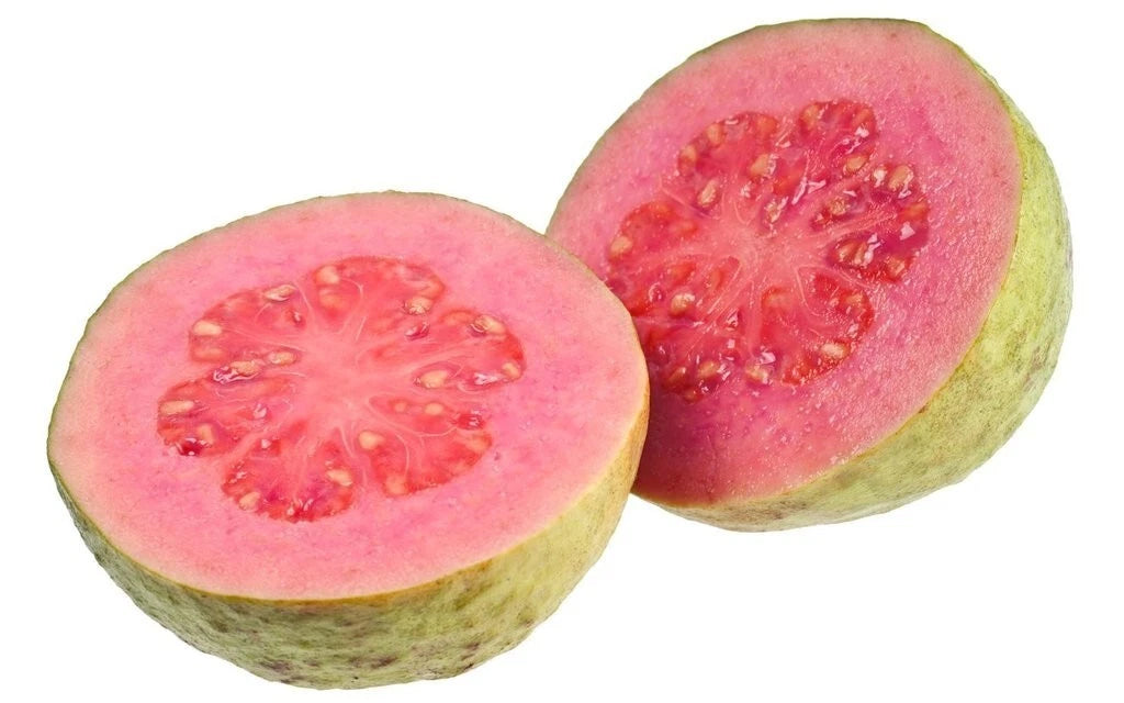 250+ Red Sumbing Guava Seeds (Psidium guajava Pink Fleshed / Mount Sumbing Exotic Sweet Guava) – Premium Exotic Fruit Tree & Orchard Seeds for Planting