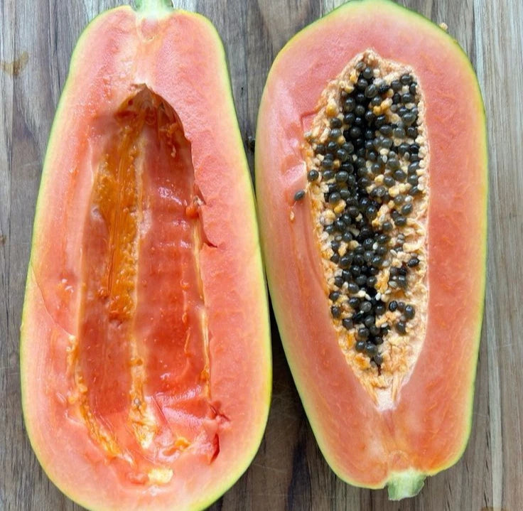 Red Caribbean Papaya Seeds (Carica papaya 'Red Caribbean') – 150 pcs Premium Fresh Rare Sweet Red Caribbean Papaya Seeds