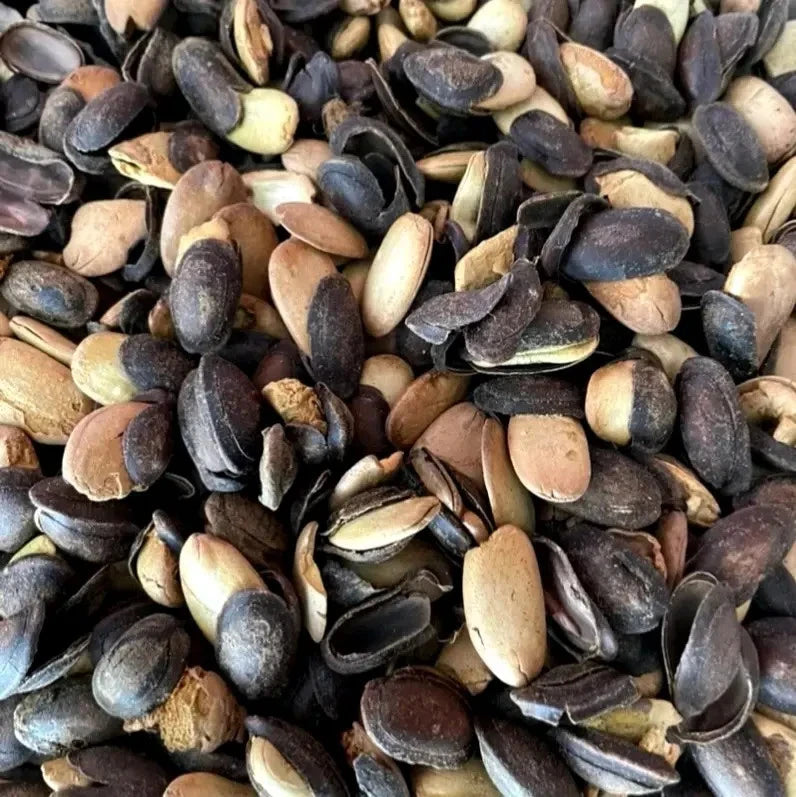 50+ Kedaung Tree Seeds (Parkia timoriana) | Rare Tropical Medicinal Tree | Fast-Growing Shade Tree