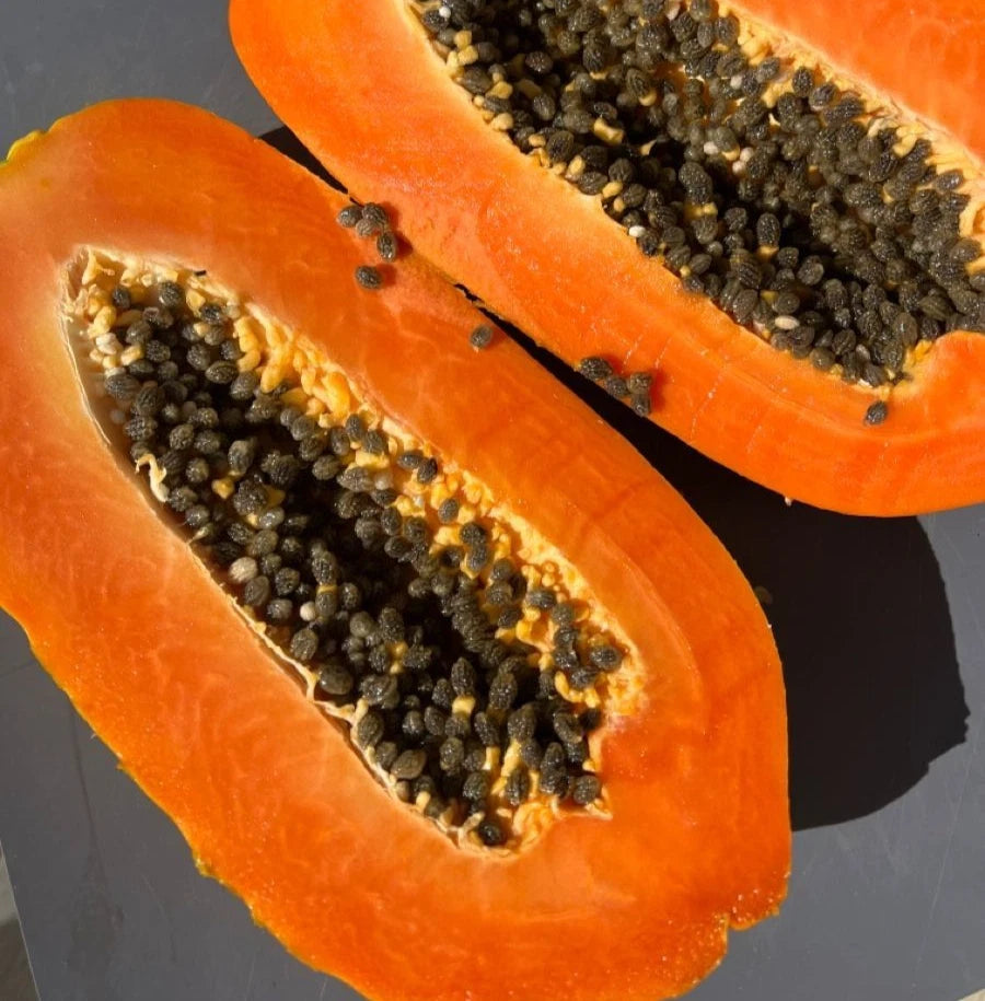 Honey Dew Papaya Seeds (Carica papaya 'Honey Dew') – 150+ Premium Fresh Ultra-Sweet Honey Dew Papaya Seeds