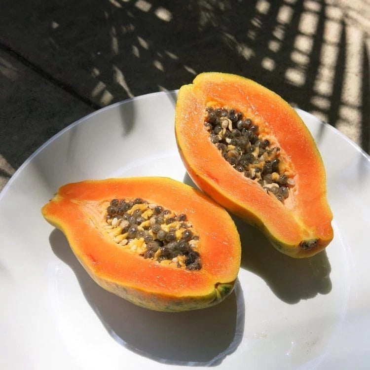 Premium Rainbow Hawaii Papaya Seeds (Carica papaya 'Rainbow') – Fresh Rare Exotic Genetically Enhanced Disease-Resistant Sweet Golden Papaya Seeds for Planting