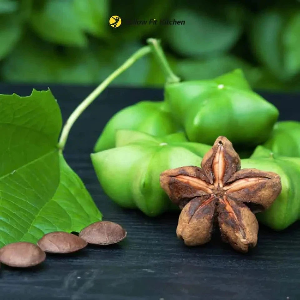 50+ Organic Sacha Inchi Seeds for Planting | Plukenetia volubilis | Inca Peanut | Tropical Superfood Vine