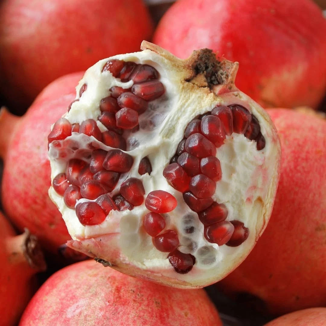 Ganesh Pomegranate Seeds (Punica granatum var. Ganesh Red / 100+ Premium Soft-Seeded Fruit Tree Seeds) – Exotic Botanical Specimen Plant Seeds for Planting