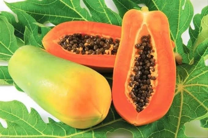 Extra Sweet California Papaya Seeds (Carica papaya) – Fast-Growing Tropical Fruit Seeds for Planting