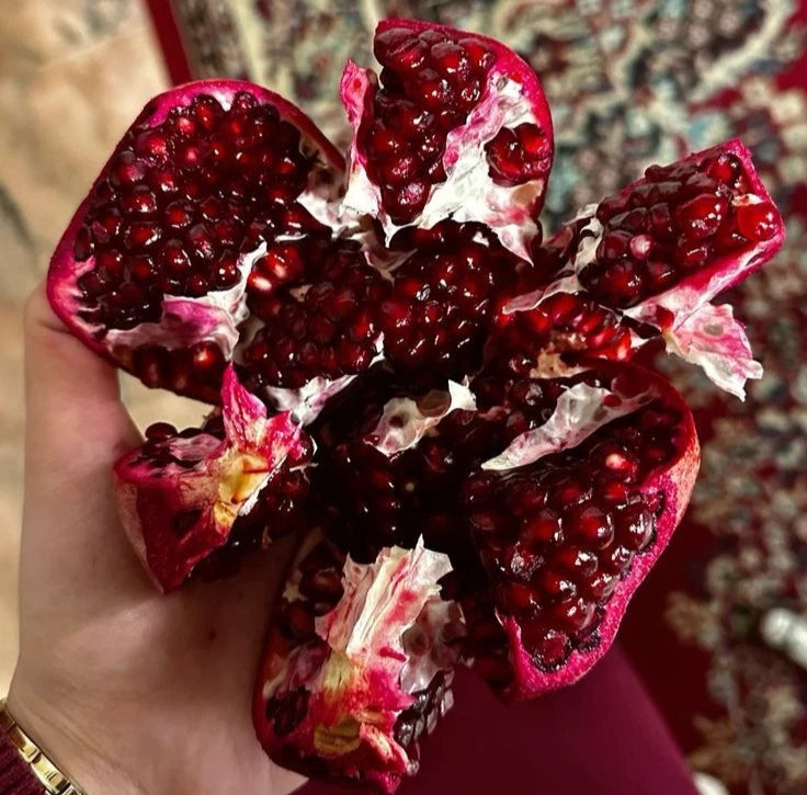 Premium Afghan Pomegranate Seeds (Punica granatum) – Heirloom Middle Eastern Exotic Fruit Seeds for Planting (100+ Pcs)