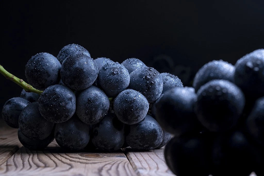 Muscat Bailey A Grape Seeds 100+ pcs (Vitis vinifera x Vitis labrusca 'Muscat Bailey A') – Premium Certified Table and Wine Grape Vine Plant Seeds for Planting