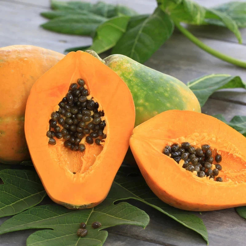 Premium 'Honey Dew' Papaya Seeds (Carica papaya) – F1 Hybrid High-Performance Sweet Tropical Fruit Seeds (150 Count)