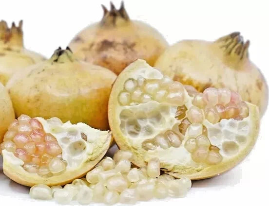 150+ White Pearl Pomegranate Seeds (Punica granatum var. White Pearl) – Premium Crystal White & Translucent Sweet Fruit Tree Seeds for Planting