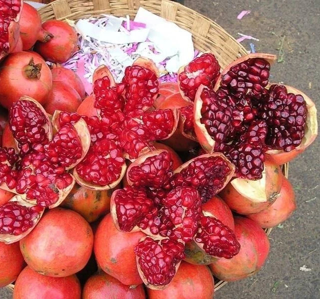 100+ Ganesh Pomegranate Seeds (Punica granatum var. 'Ganesh') – Premium Soft-Seeded & Sweet Indian Fruit Tree Seeds for Planting