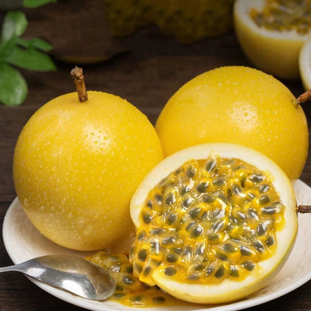 Exotic Passion Fruit Seeds var. Yellow Granadilla (Passiflora edulis f. flavicarpa) – Premium Yellow Passionflower Vine Seeds for Planting (150+ Pcs)