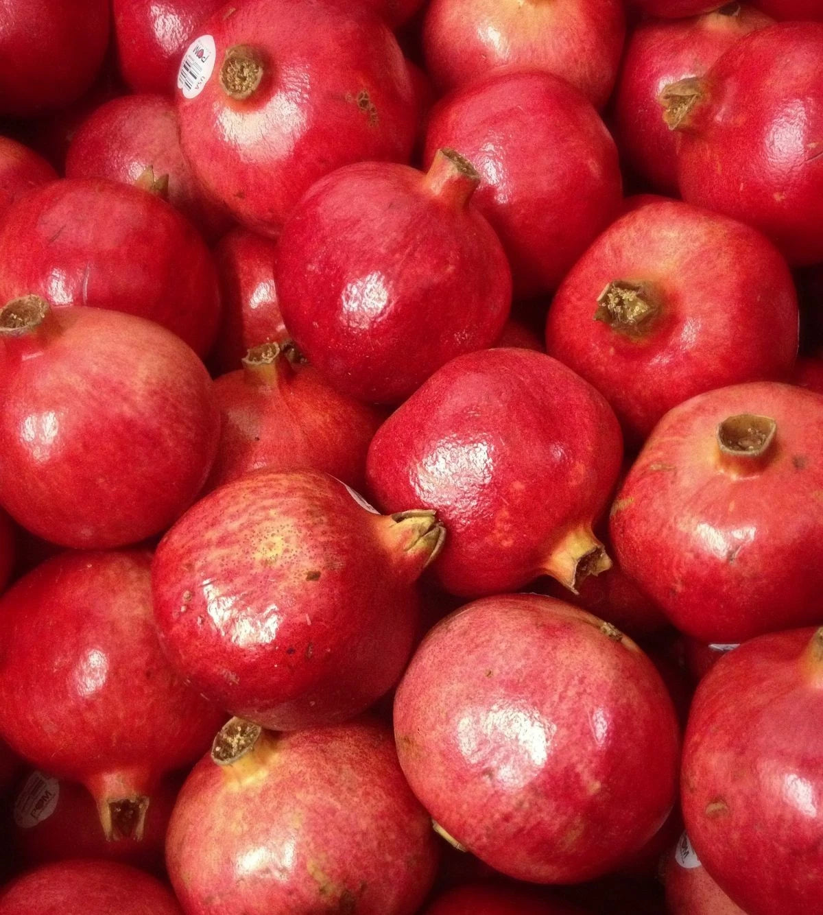 Rumi Pomegranate Seeds (Punica granatum 'Rumi') – 100+ Premium Fresh Rare Balanced Sweet-Tart Soft-Seeded Rumi Pomegranate Seeds