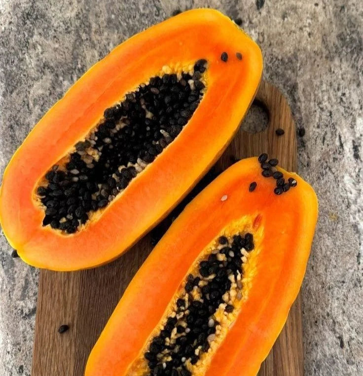 Red Sukma Papaya Seeds (Carica papaya) – 150 Premium Sweet Red Flesh Papaya Seeds