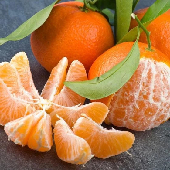 Fallglo Tangerine Seeds (Citrus reticulata) – 100+ Premium Fresh Citrus Seeds