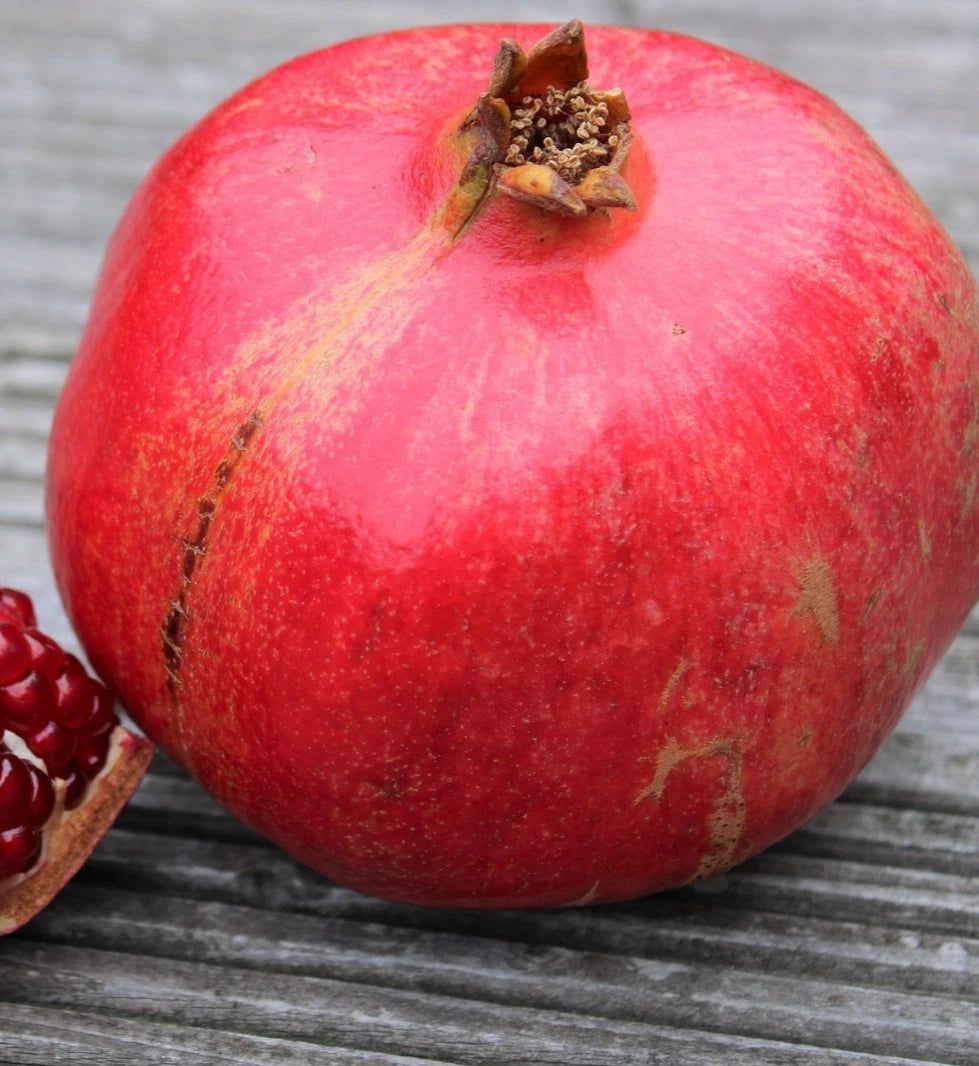 100+ 'Khandari' Pomegranate Seeds (Punica granatum) – Elite Indian Heirloom Orchard Genetics (Collectors Quality)