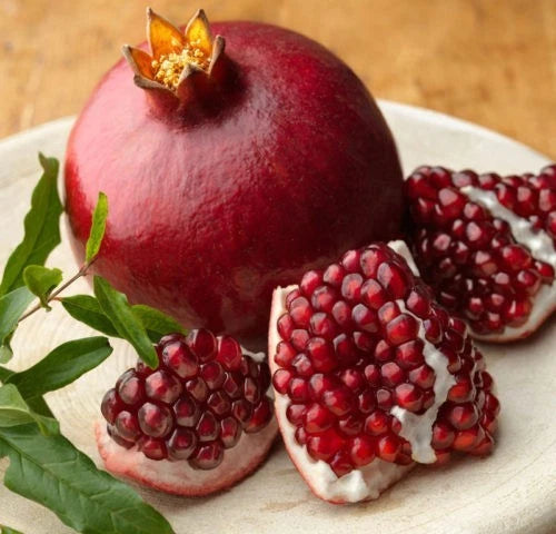 Bulk Hicaz Pomegranate Seeds (Punica granatum 'Hicaz') – 100+ Premium Fresh Rare Turkish Sweet-Tart Pomegranate Seeds for Planting