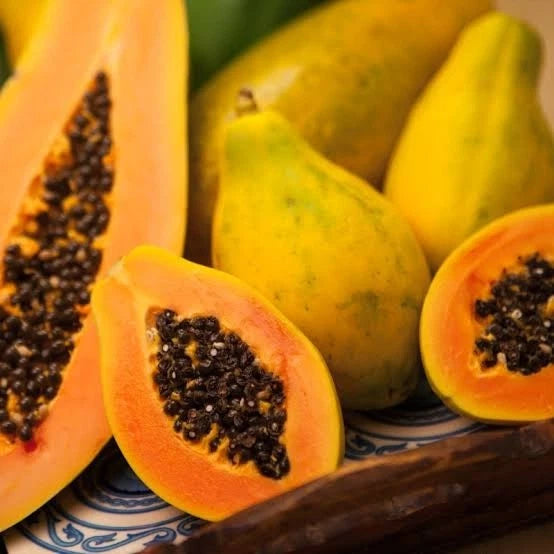 Extra Sweet Canary Papaya Seeds (Carica papaya) – High-Yield Tropical Fruit Seeds for Planting