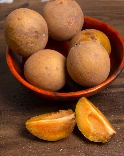 Bangsai Sapodilla Seeds (Manilkara zapota) – 35+ Premium Chikoo Seeds