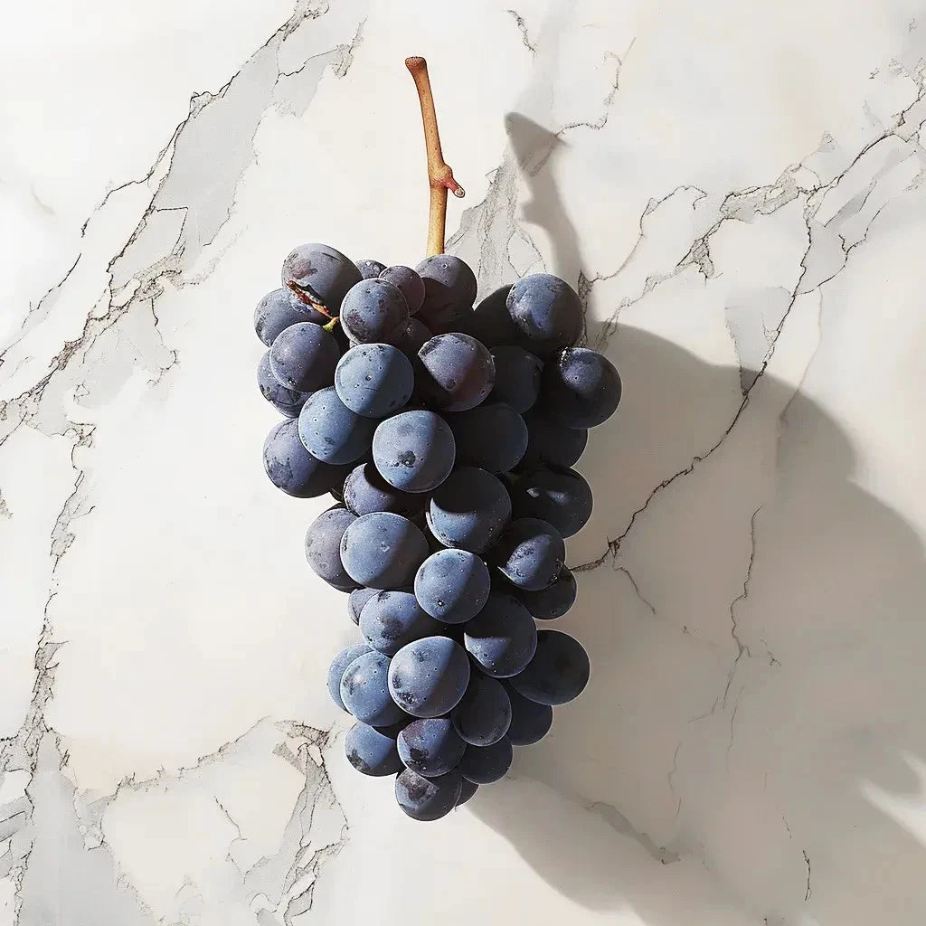100+ Table Grape Seeds (Vitis vinifera var. Muscat Bailey A) – Premium Certified Heirloom Fruit Vine Seeds for Planting