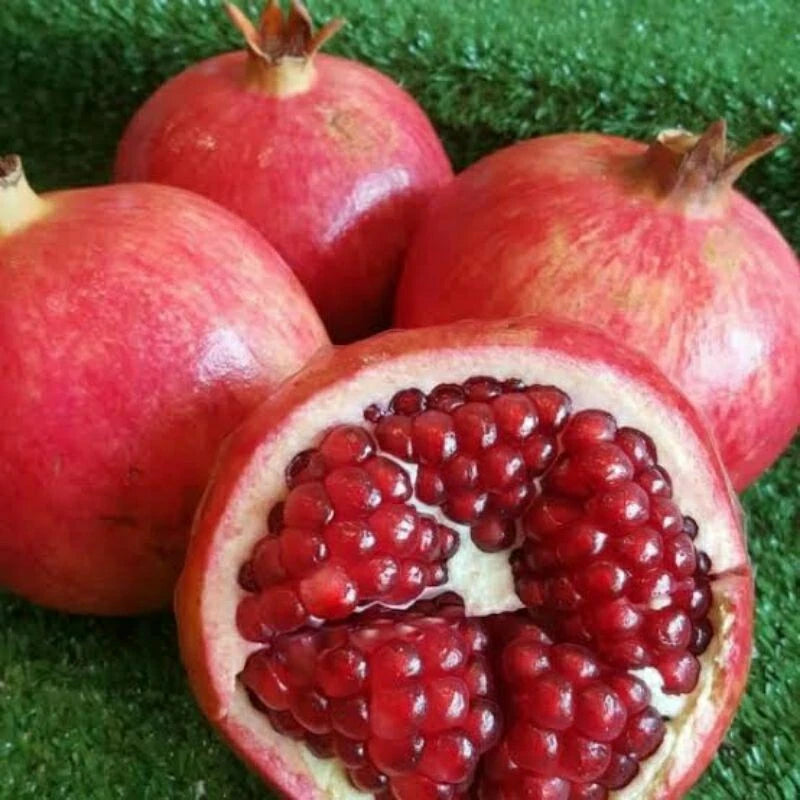 100+ Red Pomegranate Seeds (Punica granatum var. rubrum) – Premium Deep Ruby Sweet Fruit Tree & Orchard Seeds for Planting