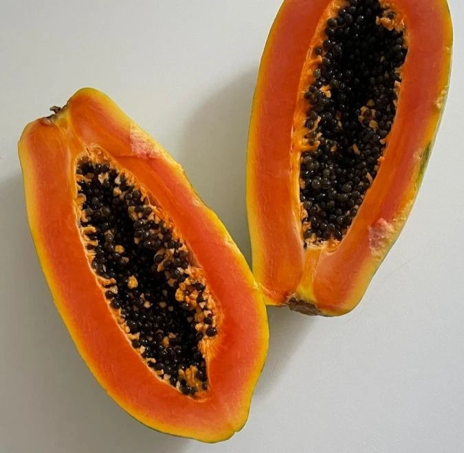Bulk Red Cibinong Papaya Seeds (Carica papaya 'Red Cibinong') – 150+ Premium Fresh Rare Large Sweet Red Papaya Seeds for Planting