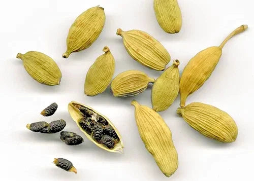 150+ Indian Green Cardamom Seeds (Elettaria cardamomum) | Aromatic Spice Plant | Tropical Herb Seeds