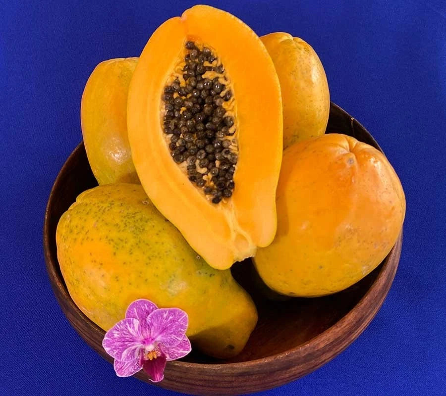 Havana Papaya Seeds (Carica papaya 'Havana') – 150+ Premium Fresh Sweet Vibrant Red-Orange Havana Papaya Seeds