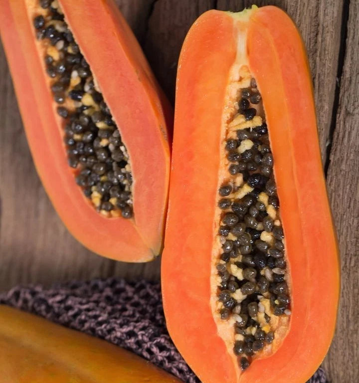 Bulk Red Delima Papaya Seeds (Carica papaya 'Delima') – 150+ Premium Fresh Rare Sweet Ruby-Fleshed Seeds for Planting