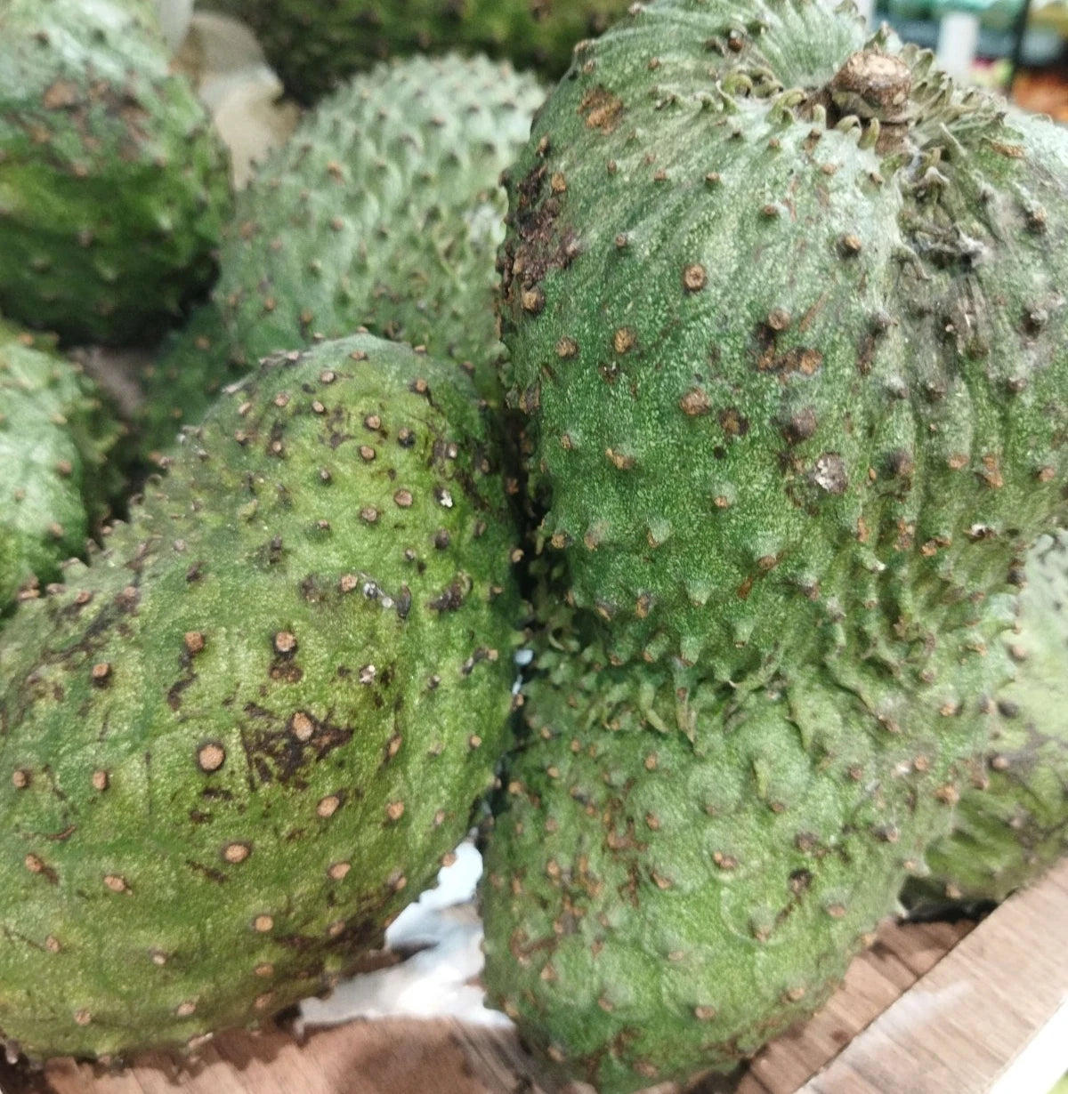 Amazon Hybrid Soursop Seeds (Annona muricata 'Amazon Hybrid') – 100 pcs Premium Fresh Rare High-Yield Sweet Soursop Seeds