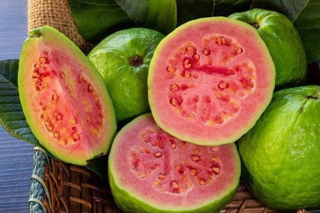 Red Guava Seeds var. Taiwan Pink Super (Psidium guajava) – Premium Sweet Pink Guava Fruit Tree Seeds for Planting (250 Pcs)