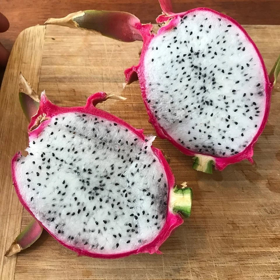 White Dragon Fruit Seeds (Hylocereus undatus) – 5.000+ Premium Vietnamese White Seeds