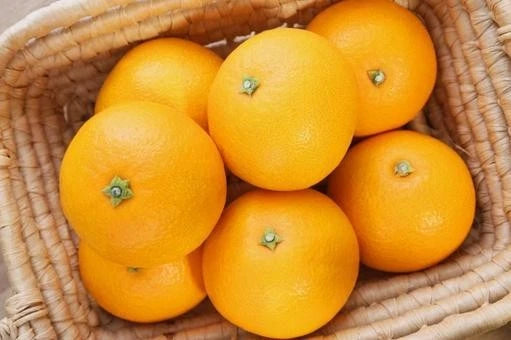 Hassaku Orange Seeds (100+ Bulk Seeds, Citrus hassaku) – Japanese Citrus Fruit Tree Seeds for Planting