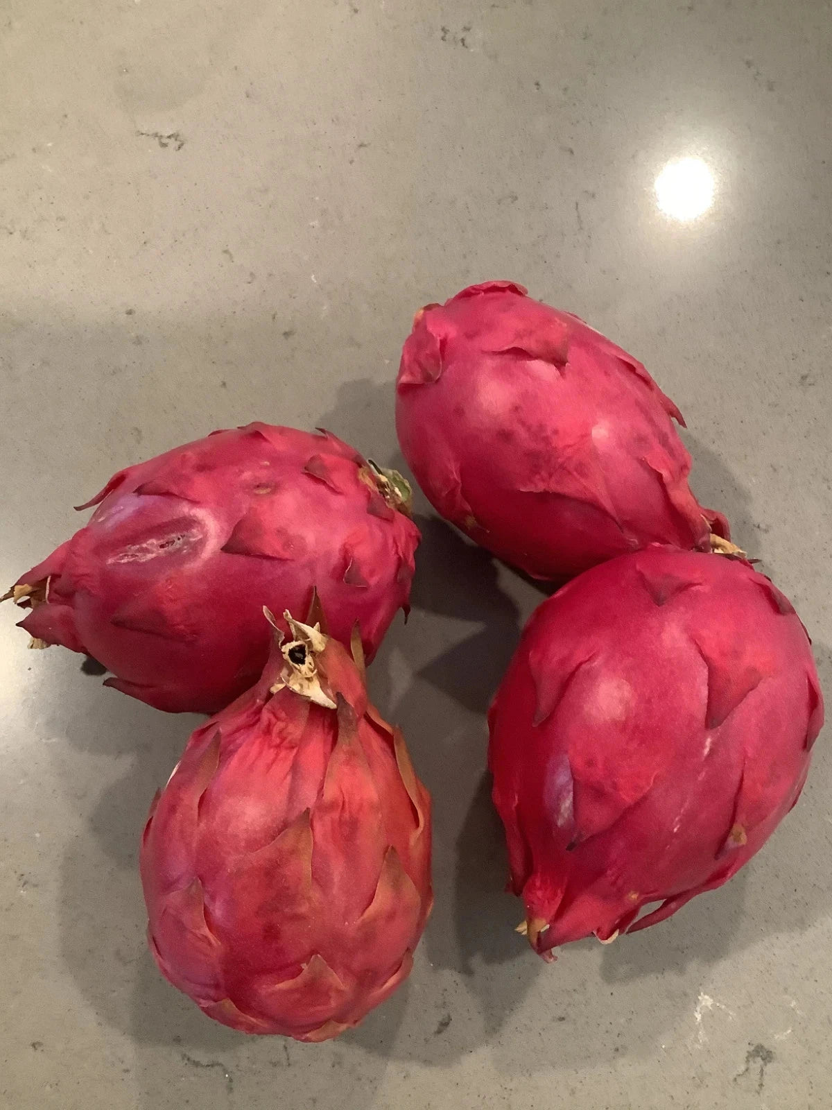 Sugar Dragon Fruit Seeds (Hylocereus guatemalensis) – 5.000+ Premium Red Pitaya Seeds