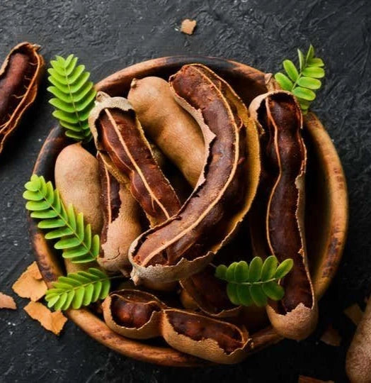Java Tamarind Seeds 100 pcs (Tamarindus indica) - Premium Fruit Tree Indian Date Seeds