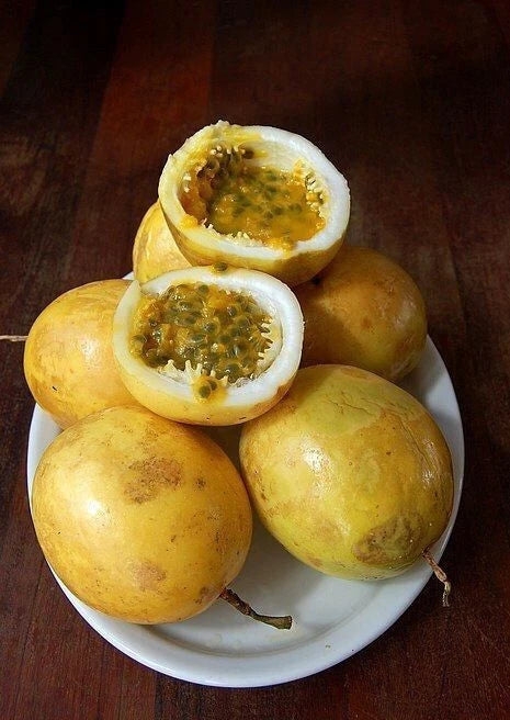 Yellow Passionfruit Seeds 150+ pcs (Passiflora ligularis) – Premium Certified Yellow Granadilla Sweet Passion Fruit Vine Plant Seeds for Planting
