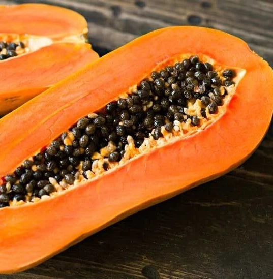 Red Sun Papaya Seeds (Carica papaya 'Red Sun') – 150+ Premium Fresh High-Yield Sweet Crimson Papaya Seeds