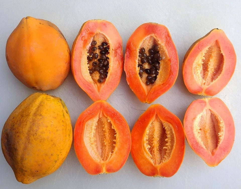 150+ Hawaiian Solo Papaya Seeds | Carica Papaya | Sweet Tropical Papaya Fruit | Easy to Grow
