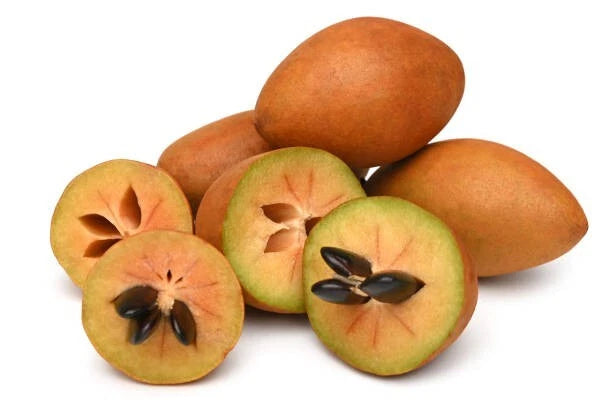 35+ Manila Sapodilla Seeds (Manilkara zapota var. 'Manila') – Premium Sweet Malabar Plum & Tropical Chiku Fruit Tree Seeds for Planting